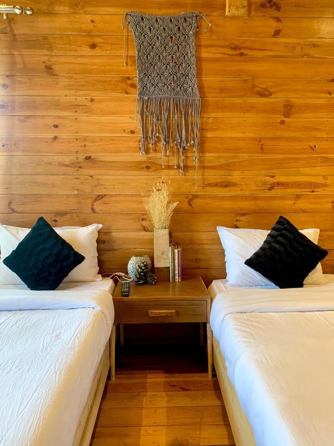 Sugar Cube Retreat Hostel ชิมลา ภายนอก รูปภาพ